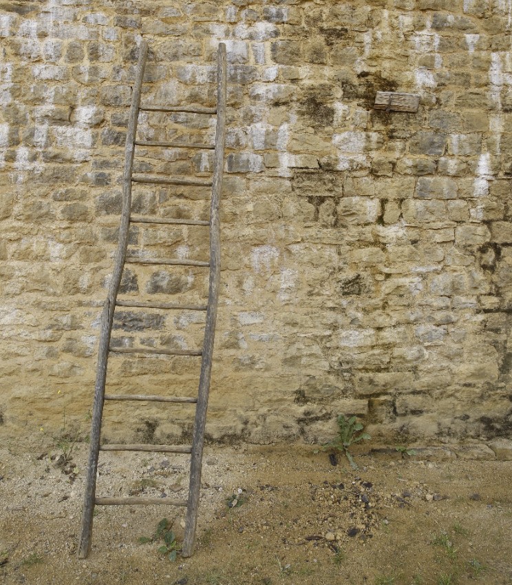 a reproduction medieval ladder